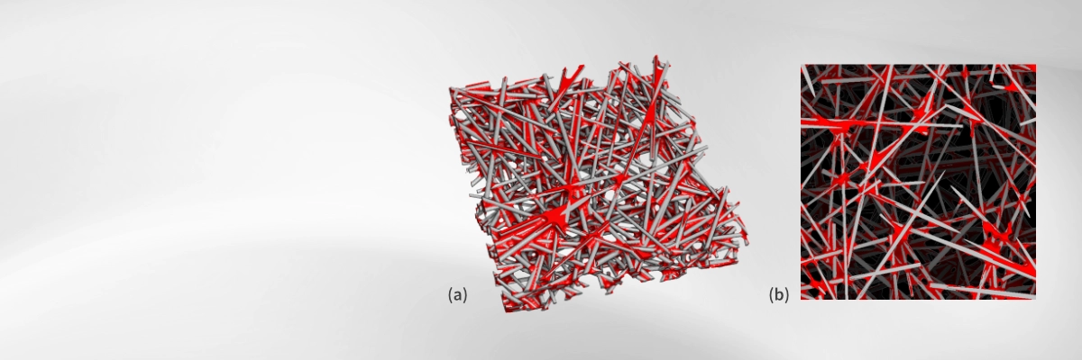 3D microstructure of a gas diffusion layers (GDL)