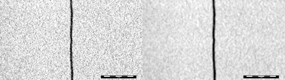 Before-and-after comparison: How noise is reduced while structural details remain.
