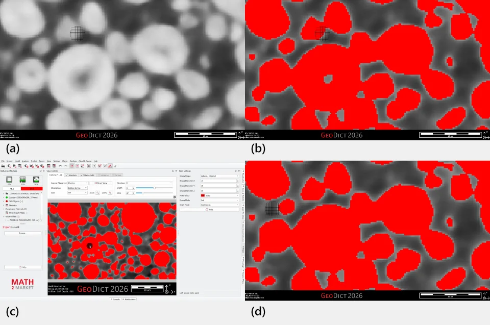 Beispiel für die manuelle Korrektur der Segmentierung mit einem Pinselwerkzeug. (a) Original-Graustufenbild der Partikel, (b) Segmentierungsergebnis mit Schwellenwert, das die meisten Partikel erfasst, jedoch bleibt ein hohles Partikel übrig, das gefüllt werden sollte, (c) Manuelles Pinselwerkzeug für einen kugelförmigen Pinsel mit einer Breite von 15 Voxeln zur Korrektur der Segmentierung, (d) endgültiges korrigiertes Segmentierungsergebnis.