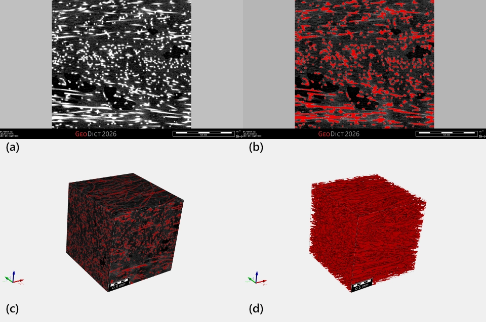 Schwellenwertbasierte Segmentierung, demonstriert anhand einer Verbundprobe, die Fasern enthält. In (a) ist das Graustufenbild zu sehen, in dem die Fasern weiß dargestellt sind, in (b) das Ergebnis der Schwellenwertsegmentierung unter Verwendung des automatisierten Otsu-Schwellenwerts, in (c) die Visualisierung des Datensatzes in 3D einschließlich Hintergrund und in (d) die Visualisierung des Ergebnisses der Fasersegmentierung in 3D ohne Hintergrund.