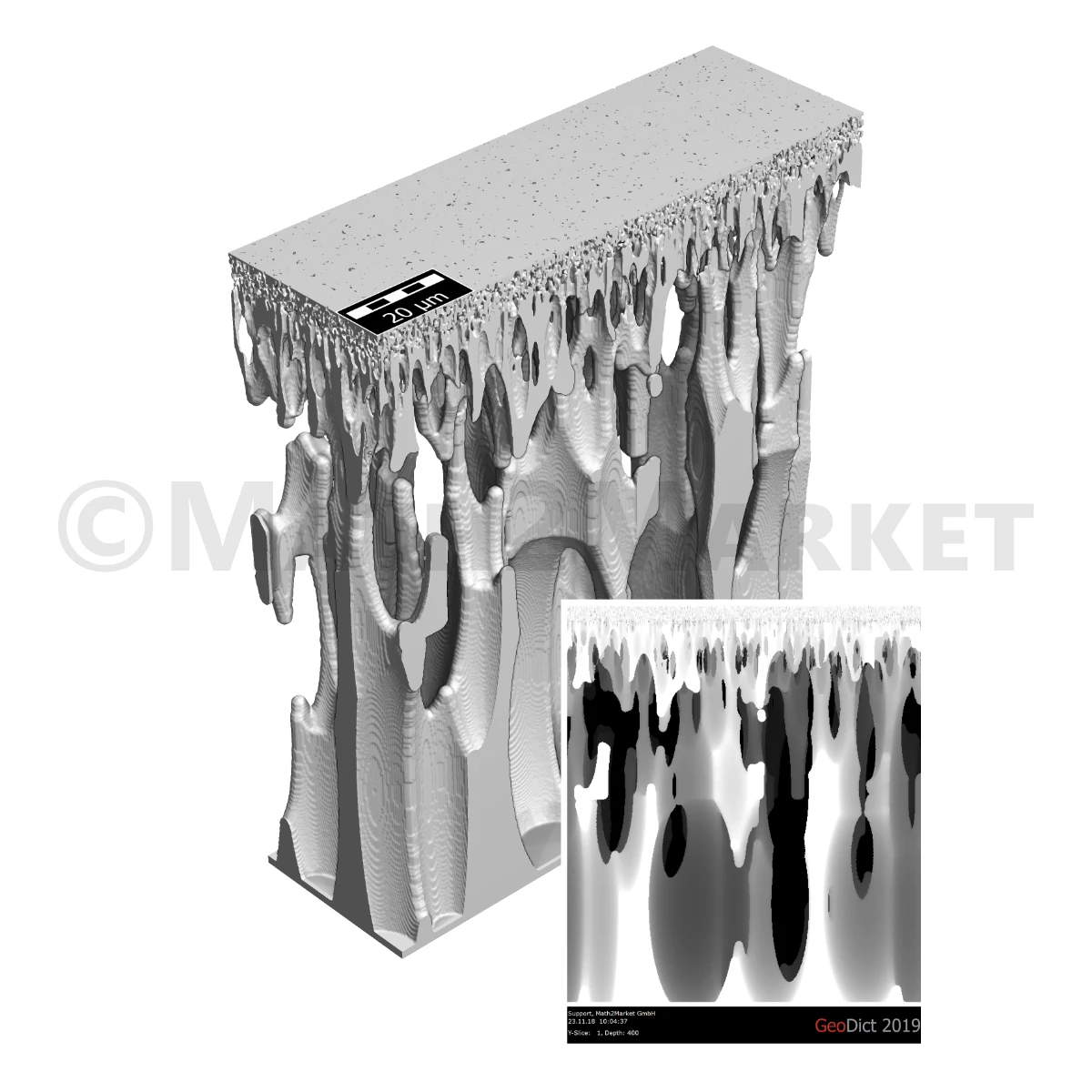 Digital twin of a polysulfone membrane designed at KAUST University. The finger-like pore structure was modeled with GeoDict based on SEM images.