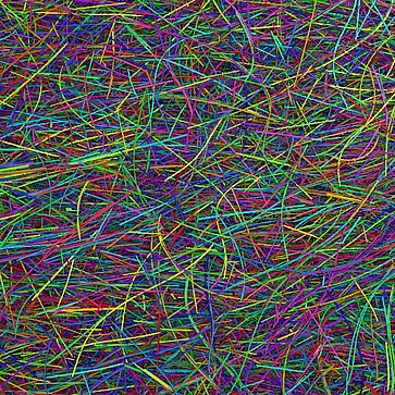 Identifizierte Einzelfasern aus dem CT-Scan einer Polypropylenprobe, die mit 40 % langen Glasfasern verstärkt ist.