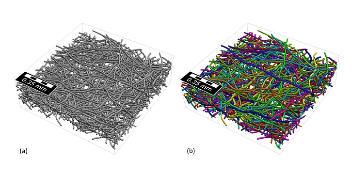Validierungsgeometrie: (a) erstellt mit FiberGeo, (b) identifizierte Fasern