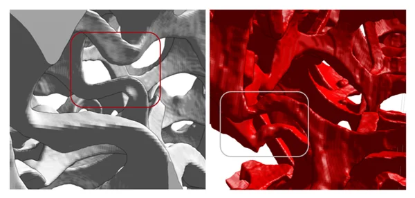 Buckling of struts in experiment and simulation.