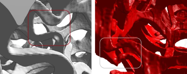Buckling of struts in the experiment (left) and the simulation (right)