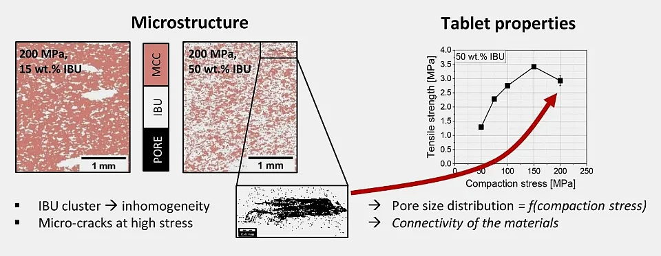 Investigating the influence of microstructure of pharmaceutical tablet properties, in Schomberg, A.K., Diener, A., Wünsch, I., Finke, J.H. and Kwade, A., 2021. The use of X-ray microtomography to investigate the microstructure of pharmaceutical tablets: Potentials and comparison to common physical methods. International Journal of Pharmaceutics: X, 3, p.100090. https://doi.org/10.1016/j.ijpx.2021.100090.