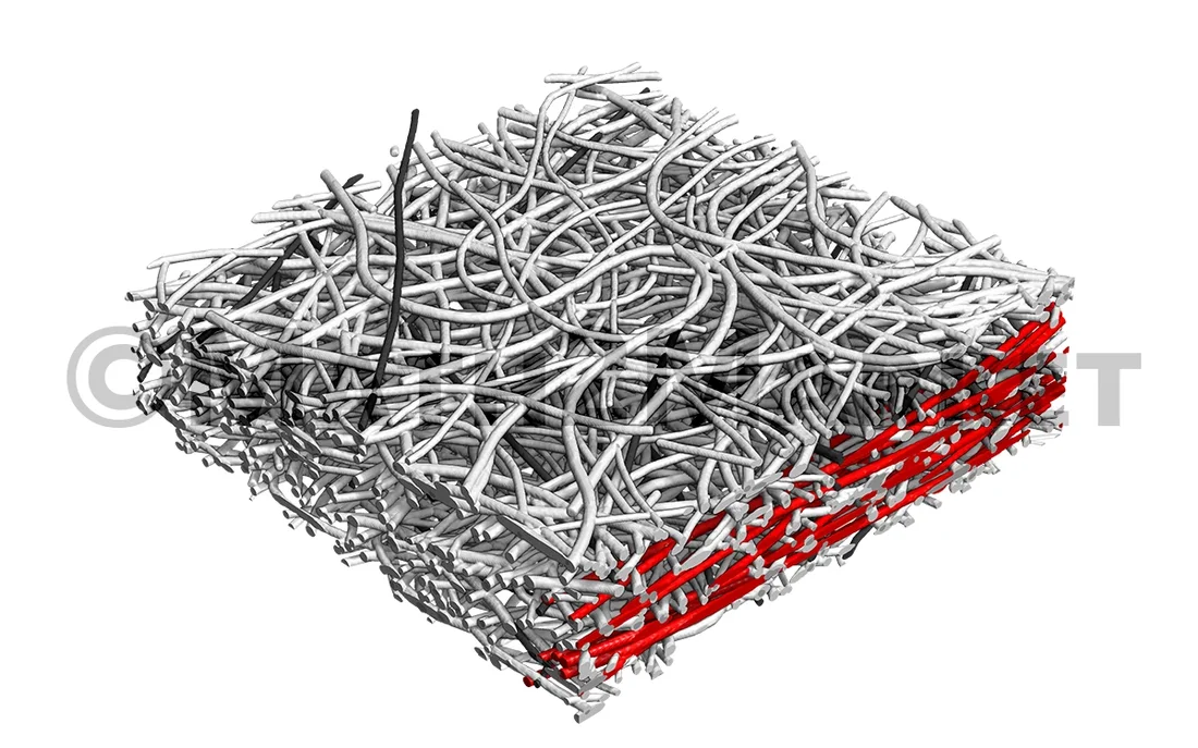 Gekrümmte Fasern mit FiberGeo erstellt