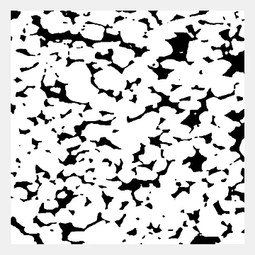 Segmentiertes 2D-Bild (aus einem 3D-µCT-Scan), das zur Erstellung des digitalen Zwillings verwendet wurde (https://www.digitalrocksportal.org/projects/290).