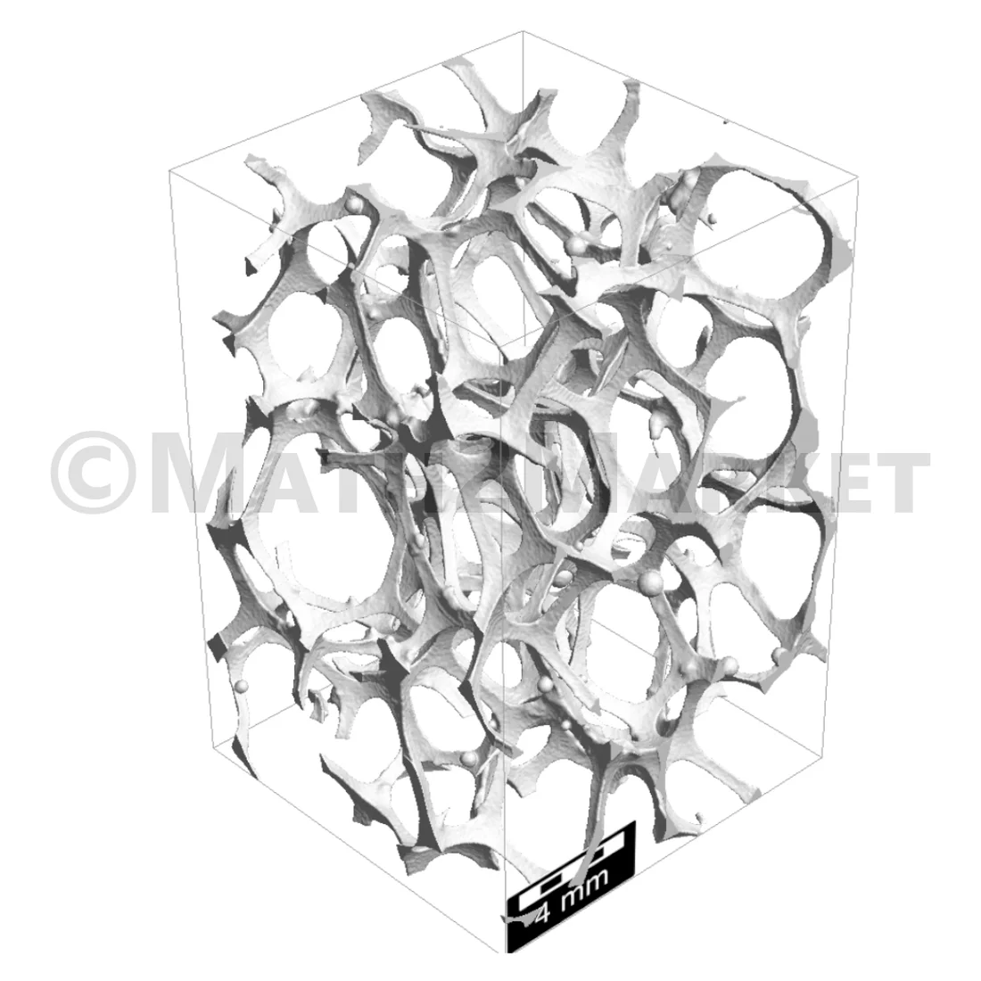 Segmented CT scan of the first sample