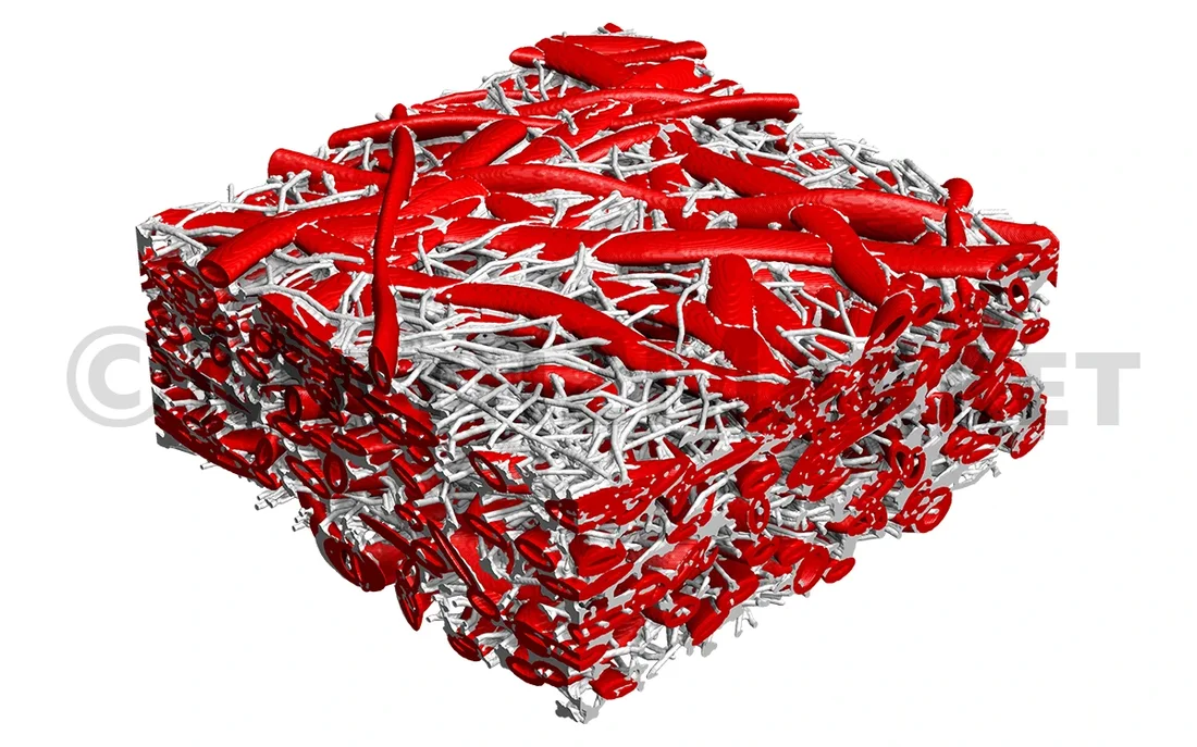 3D microstructure model of cellulose fibers