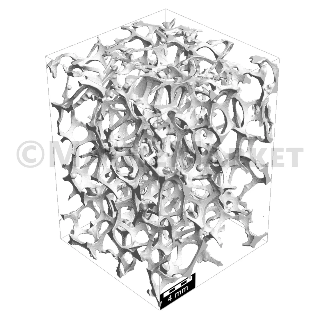 Segmented CT scan of the second sample 