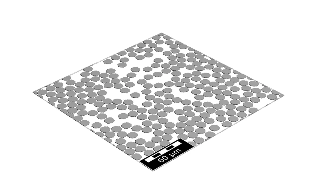 Abb. 4 Mikro-Ausschnitt von 0-Grad-Fasern in GeoDict, erstellt mit dem FiberGeo-Modul.